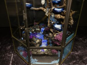 Cascading Falls Dice Gallery